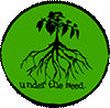 Under the Seed - Organic seedlings for sustainable gardens